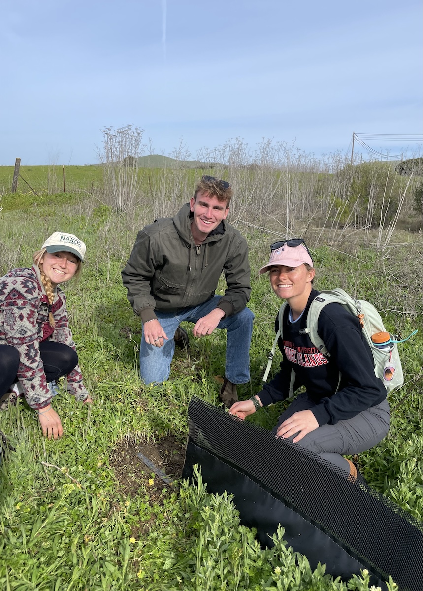Students setting up a Sentinel project drift fence at Chorro Creek Ecological Reserve